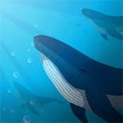 合成大鲸鱼消消乐下载-合成大鲸鱼消消乐手游安卓正规版v1.0